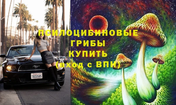 spice Лагань