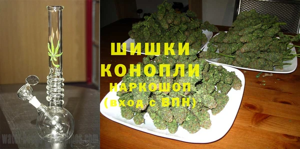 гашик Ладушкин