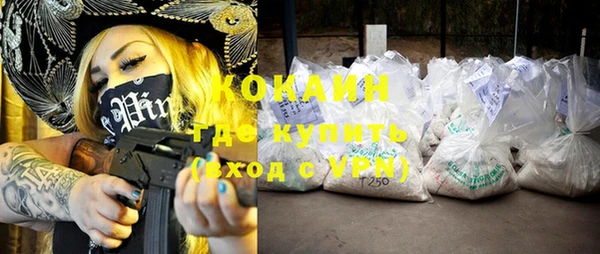 гашик Ладушкин