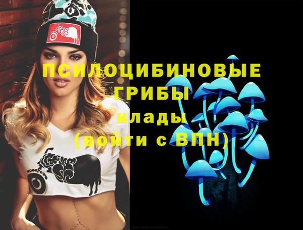 spice Лагань