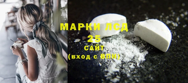 гашик Ладушкин