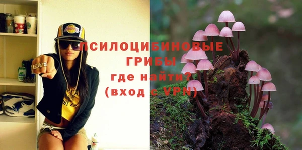 гашик Ладушкин