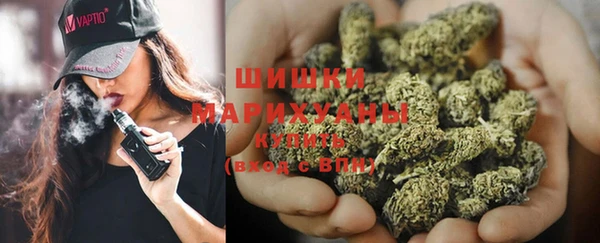 гашик Ладушкин
