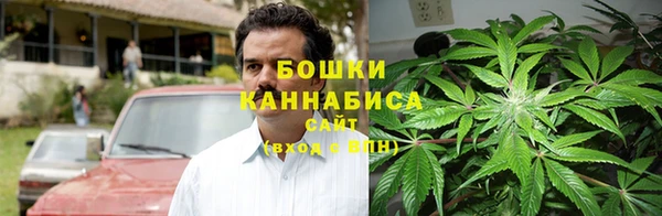 spice Лагань