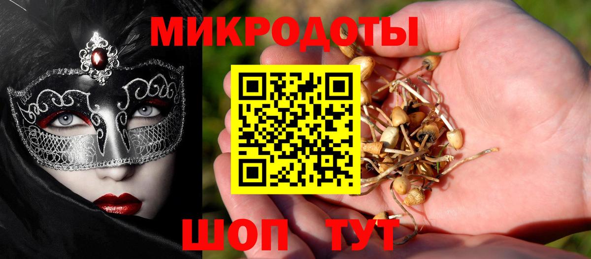 Сосновоборск  Псилоцибиновые грибы Cubensis  Вход с VPN 